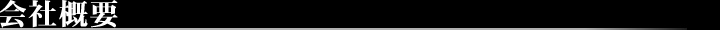ЊTv